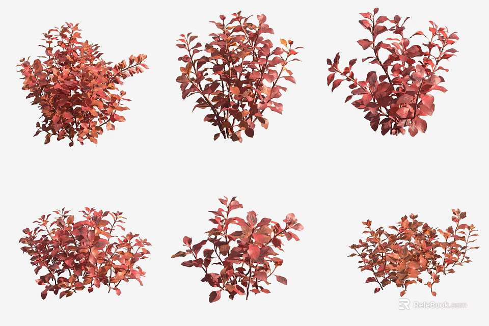 Red Aquatic Plants Various Varieties With Vibrant Foliage For Water Gardens 3d model 