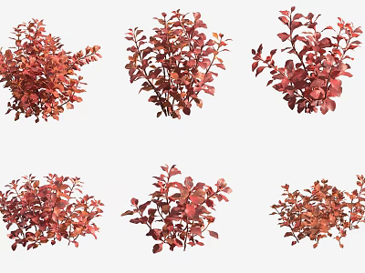 Red Aquatic Plants Various Varieties With Vibrant Foliage For Water Gardens 3d model