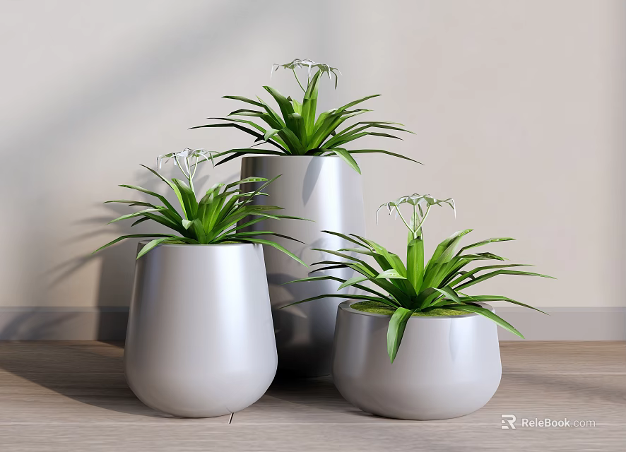 Bonsai Potted Plants With Green Leaves White Flowers In Gray Pots On Wooden Floor 3d model 