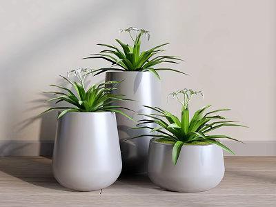 Bonsai Potted Plants With Green Leaves White Flowers In Gray Pots On Wooden Floor 3d model