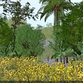 Yellow Flower Field with Lush Green Trees Palm and Small House Under Blue Sky