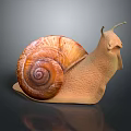 3D Rendered Snail With Spiral Brown Shell And Light Brown Textured Body