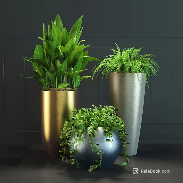 Indoor Potted Green Plants In Gold And Silver Planters With Lush Foliage 3d model 
