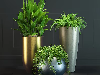 Indoor Potted Green Plants In Gold And Silver Planters With Lush Foliage 3d model