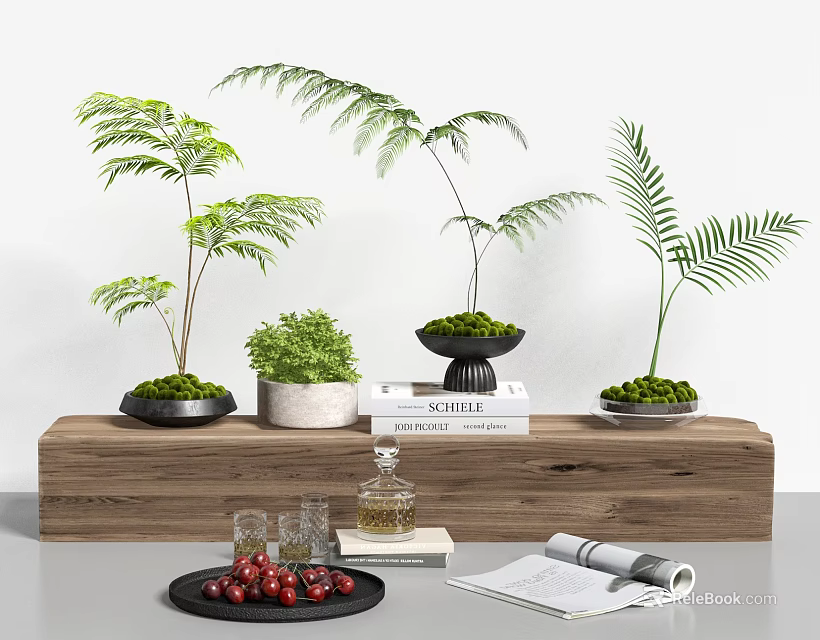 Bonsai Plants Display On Wooden Shelf With Books Glass Cups Berries And Scroll 3d model 