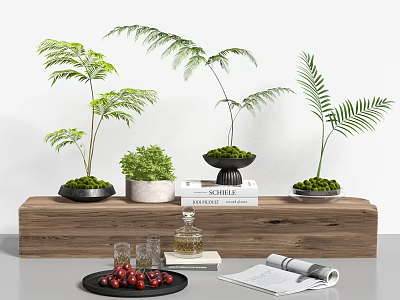 Bonsai Plants Display On Wooden Shelf With Books Glass Cups Berries And Scroll 3d model