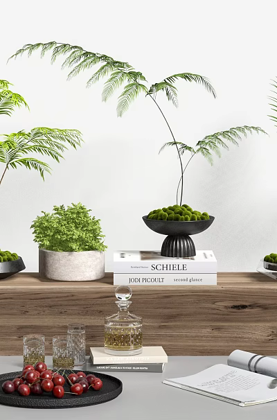 Bonsai Plants Display On Wooden Shelf With Books Glass Cups Berries And Scroll 3d model
