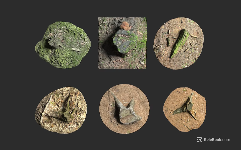 Different Natural Fossil Specimens With Moss Covered Rocks And Ancient Remains 3d model 