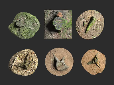 Different Natural Fossil Specimens With Moss Covered Rocks And Ancient Remains 3d model