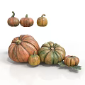 Fresh Pumpkins In Various Sizes And Different Colors On White Background