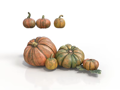 Fresh Pumpkins In Various Sizes And Different Colors On White Background 3d model
