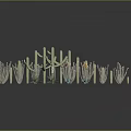 Various Cactus And Succulent Plants With Different Heights Shapes Gray Background