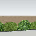 Green Leafy Shrubs Along Wooden Fence Under Blue Sky With Grass