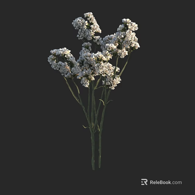 White Small Flowers Bouquet With Multiple Green Stems On Dark Background 3d model