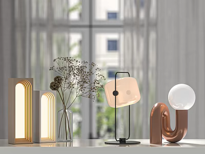 Modern Table Lamps With Various Curved Square Spherical Designs And Decorative Dried Flowers 3d model