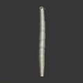 Tall Green Columnar Cactus Plant with Small Top Growth on Dark Background