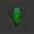 Vibrant Green Flying Beetle with Shiny Exoskeleton Detailed Legs and Dark Background