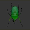 Modern Beetle Green Flower Scarab Scarab White Strip Green Flower Scarab Beetle 3d model