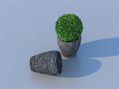 Bonsai Plant With Round Green Foliage In Woven Textured Pot And Empty Planter 3d model