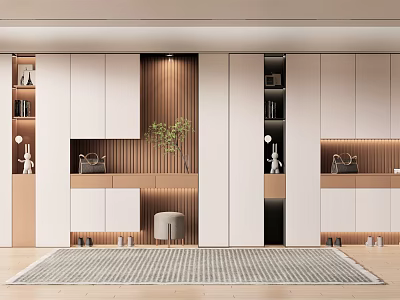 Modern Shoe Cabinet Design With White Wooden Storage Cabinets And Hallway Rug 3d model