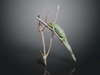 Green Chameleon Reptile Climbing On Dry Branch With Natural Texture Background 3d model