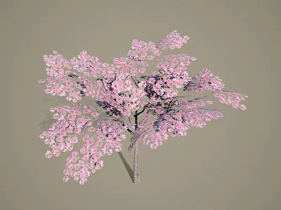 Blooming Flowering Tree With Abundant Pink Blossoms And Graceful Branch Structure 3d model
