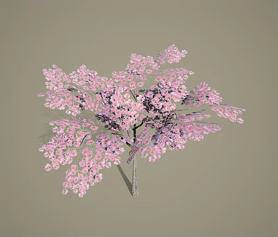 simple surface tree landscape tree cherry tree 3d model