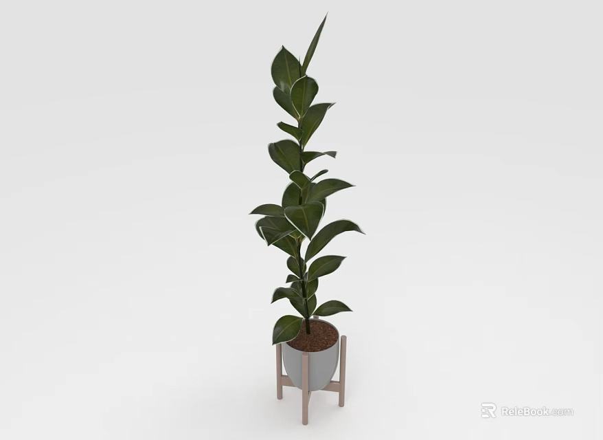 Tall Indoor Potted Plant With Green Leaves On Wooden Stand Decoration 3d model 