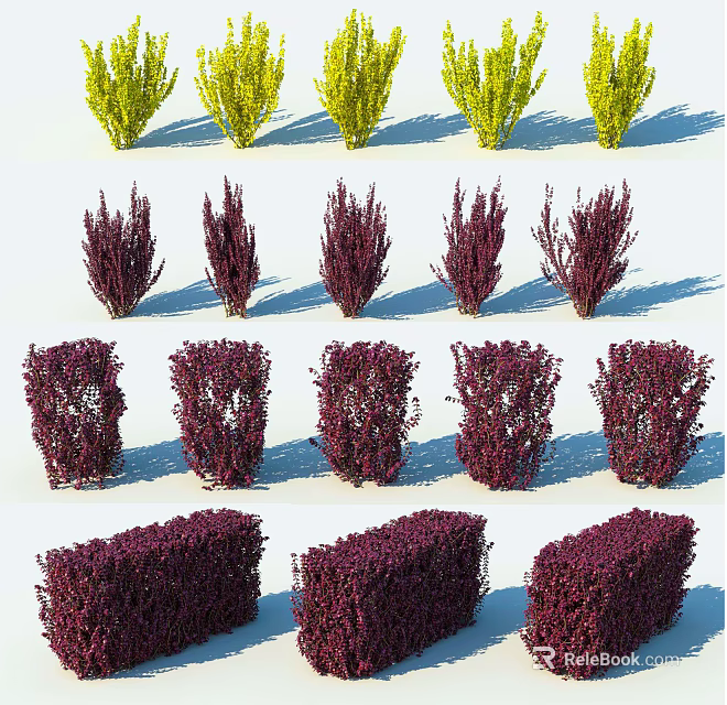 Colorful Shrubs in Yellow and Purple with Various Shapes for Garden Landscaping 3d model 