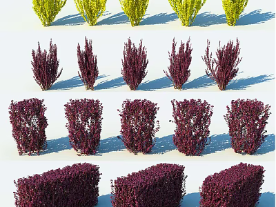 Colorful Shrubs in Yellow and Purple with Various Shapes for Garden Landscaping 3d model