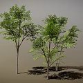 Lush Green Trees With Dense Foliage And Tree Trunks Casting Natural Shadows 3d model
