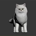 Detailed Realistic White Cat 3D Model Standing On Dark Surface With Green Eyes