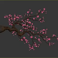 Delicate Branch With Pink Flowers And Reflection On Gray Background 3d model