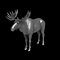Realistic Metallic Silver Moose Sculpture With Intricate Antlers And Standing Posture
