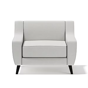 Indoor Furniture Casual Sofa Single Sofa 3d model