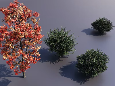Deciduous Tree With Red And Orange Foliage Surrounded By Green Shrubs And Casting Shadows 3d model