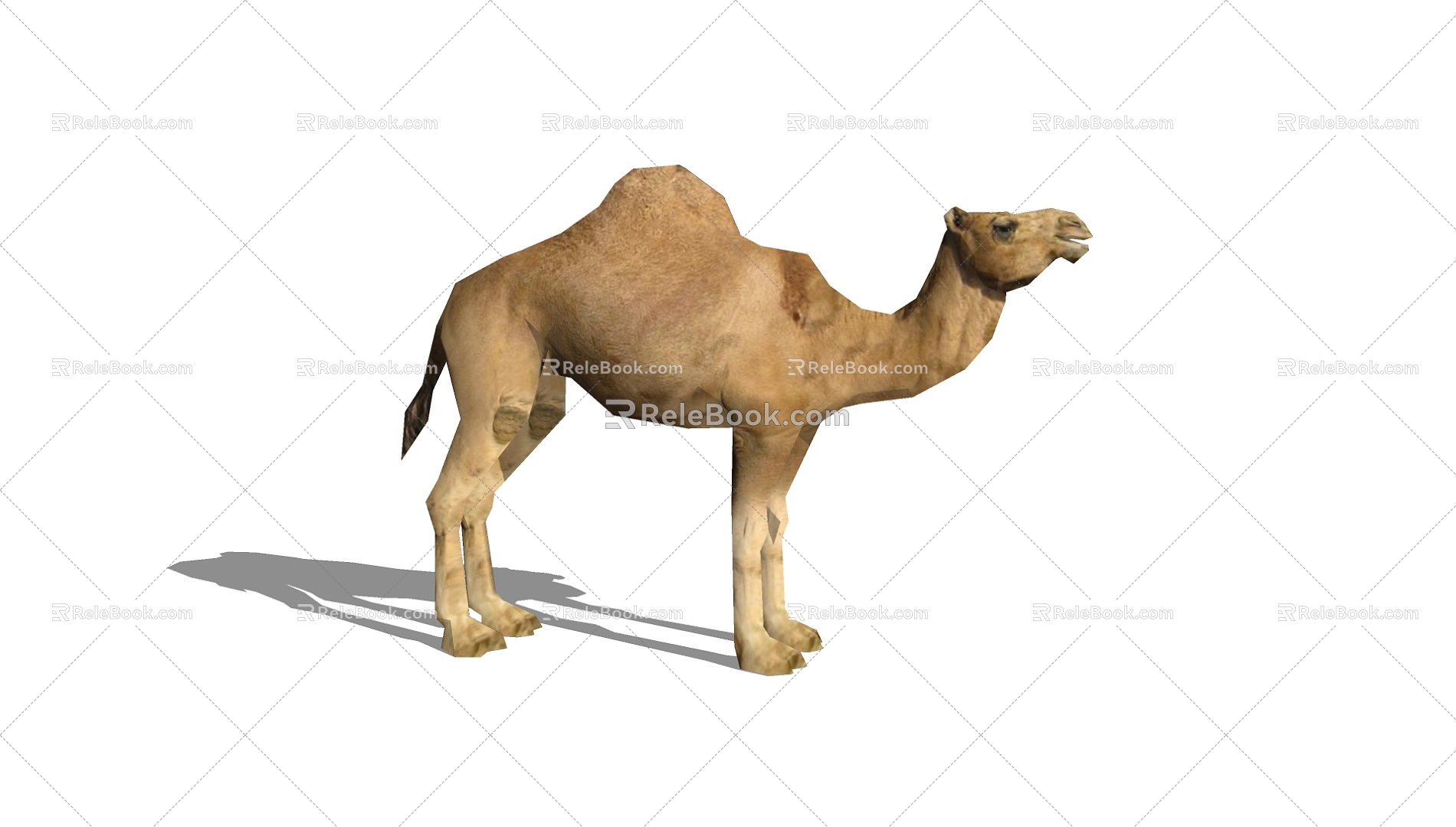 Camel 3d model