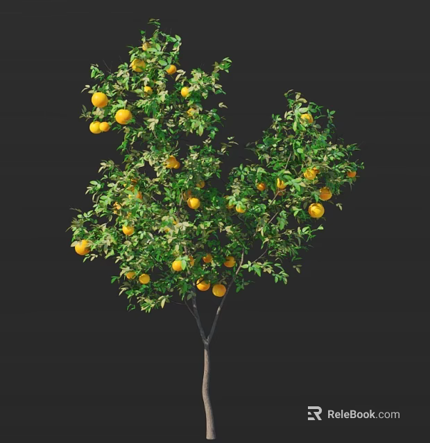 Fruit Laden Arbor Tree With Bright Yellow Fruits And Lush Green Leaves Against Dark Background 3d model 