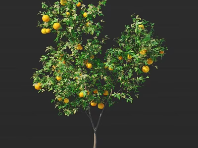Fruit Laden Arbor Tree With Bright Yellow Fruits And Lush Green Leaves Against Dark Background 3d model