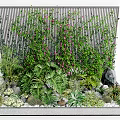 Various Green Plants And Purple Flowers In Garden With Metal Grid Background And Stones