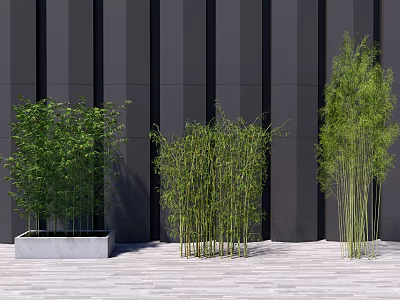 Different Bamboo Varieties In Modern Outdoor Setting 3d model