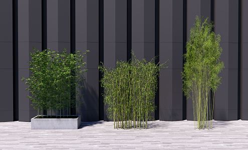 Modern bamboo potted plant 3d model