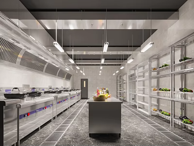 Commercial Restaurant Kitchen With Stainless Steel Equipment Shelves Fresh Ingredients Worktable And Lighting 3d model