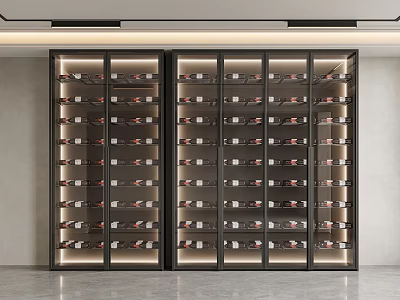 Modern Wine Cabinet With Glass Doors Interior Lighting And Organized Wine Bottle Shelves 3d model