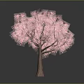 Vibrant Pink Flowering Tree with Brown Trunk and Gray Background