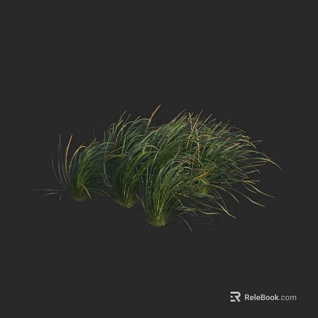 Lush Green Grass Clumps With Long Leafy Blades On Black Background 3d model 