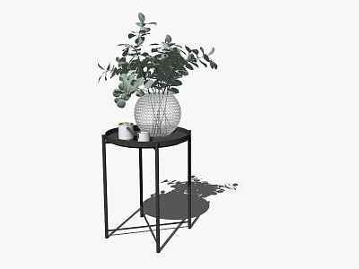 Transparent Mesh Vase with Green Eucalyptus Leaves on Black Metal Side Table 3d model