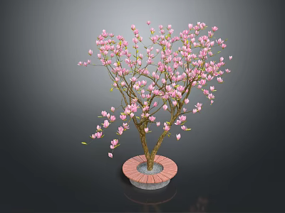Ornamental Flowering Plant with Pink Blossoms in Circular Red Brick Base Pot 3d model