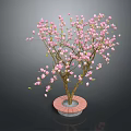 Ornamental Flowering Plant with Pink Blossoms in Circular Red Brick Base Pot