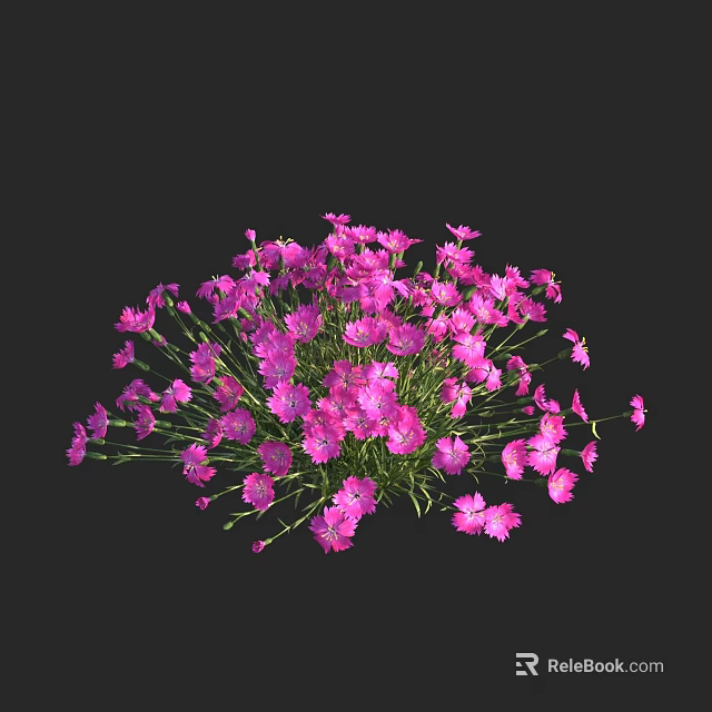 Vibrant Pink Ground Cover Flowers With Clustered Blooms And Green Stems 3d model 
